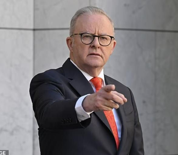 New poll delivers good news for Albanese as voters turn to him for THREE key reasons